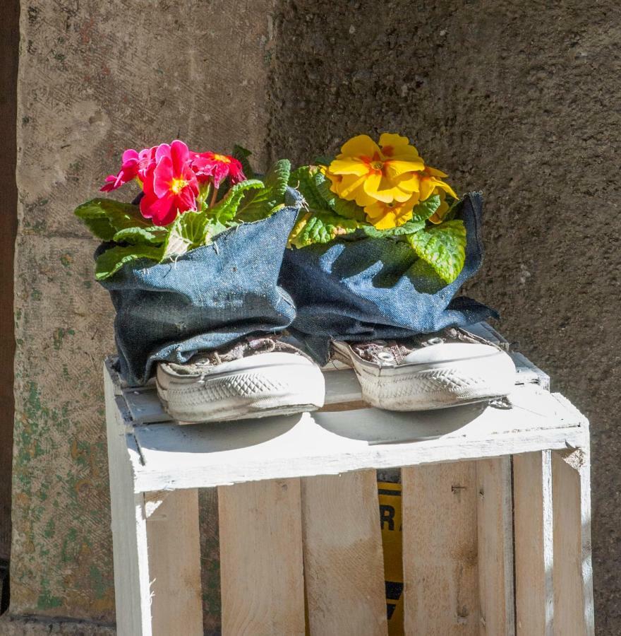 B&B Il Giullare Sulmona Exterior photo